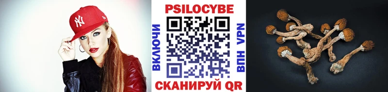 Псилоцибиновые грибы Psilocybine cubensis  omg вход  shop какой сайт  Ногинск 